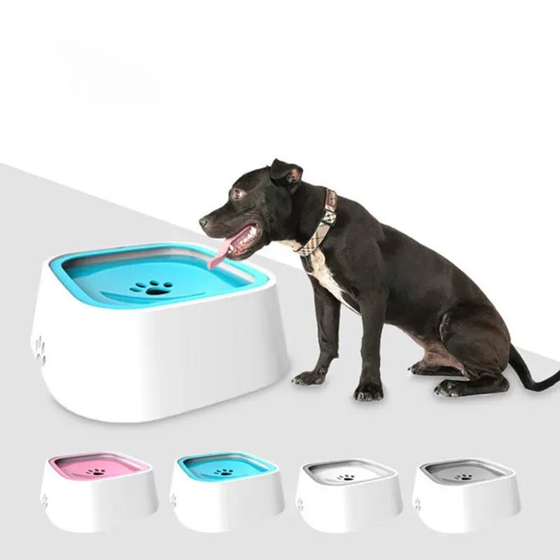 Dog bowl best sale with splash guard